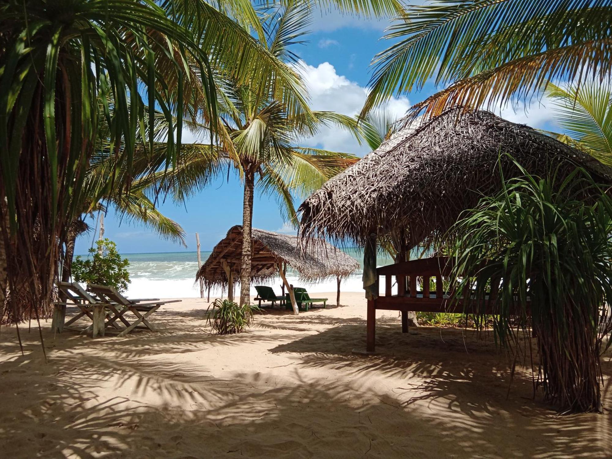 Ibisbird Beach Bungalows, Sport, Spa And Restaurant Tangalle Exteriör bild