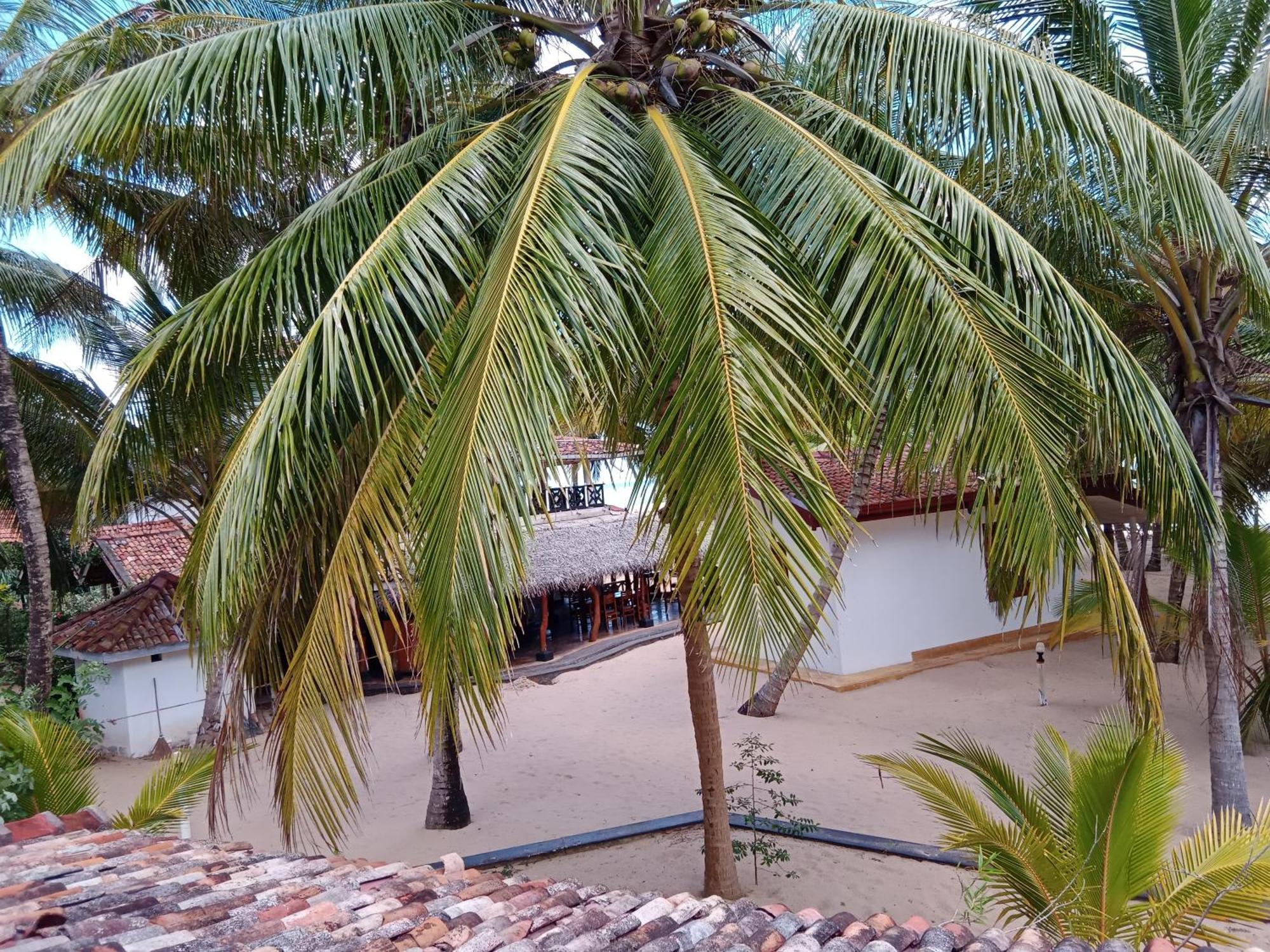 Ibisbird Beach Bungalows, Sport, Spa And Restaurant Tangalle Exteriör bild