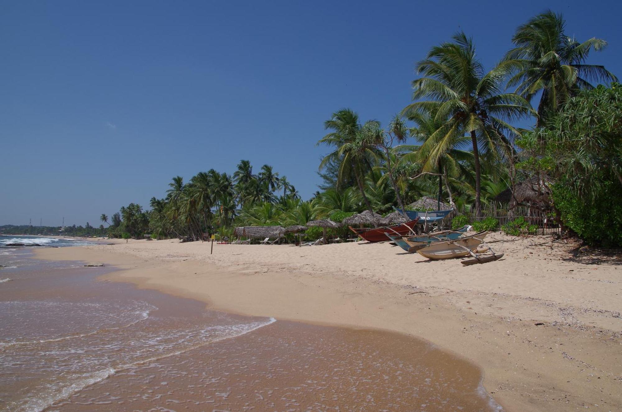 Ibisbird Beach Bungalows, Sport, Spa And Restaurant Tangalle Exteriör bild